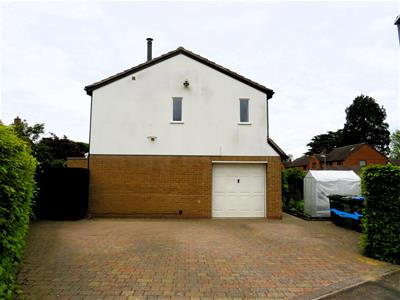 Picture 23